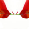 Rainbow Dreams Scarf - Image 3